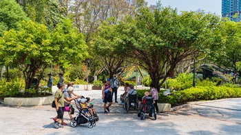 闊寬和附有斜道的行人路是其中一種共融設計，令園內景致都暢通無阻，更能發揮公園的功能和效率，讓所有遊人都能輕易享用。